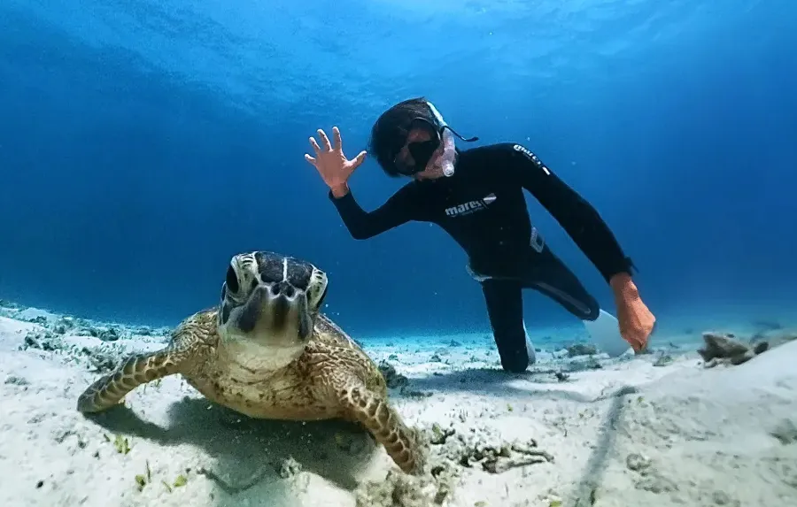 Obudowa wodoszczelna Insta360 X3 Invisible Dive Case do kamery X3